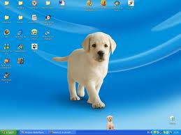 animated desktop screenmates cat animated desktop screenmates cat