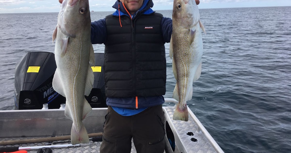 Rammstein Welcome To The Rammstein Collection By Rc