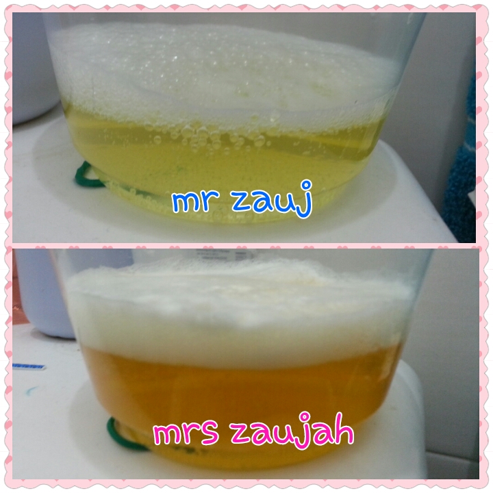 Usrati Jannati CD 23 Home test pregnancy (urine + clorox)