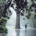 HD Rain Backgrounds, Rain Wallpaper