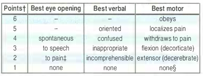 Pernak pernik Bedah Saraf