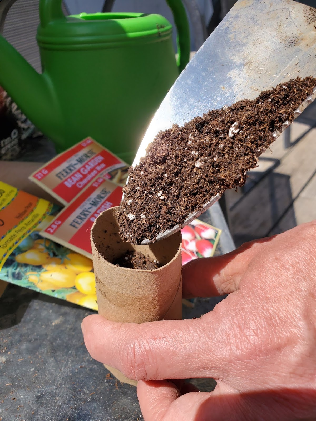 Toilet Paper Roll Planting