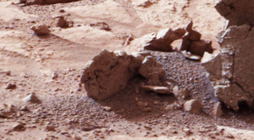 ¿El fósil de un alienígena en una imagen del Curiosity?