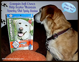 Cosequin Helps Keep Sophie's Joints Healthy and it can help your pets too - Lapdog Creations