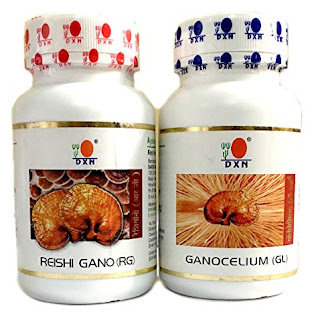 Ganoderma