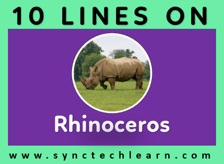 10 lines on rhinoceros in English - Short essay on rhinoceros