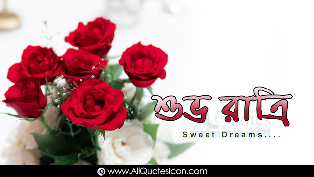 Bengali-Good-Night-Bengali-quotes-Whatsapp-images-Facebook-pictures-wallpapers-photos-greetings-Thought-Sayings-free