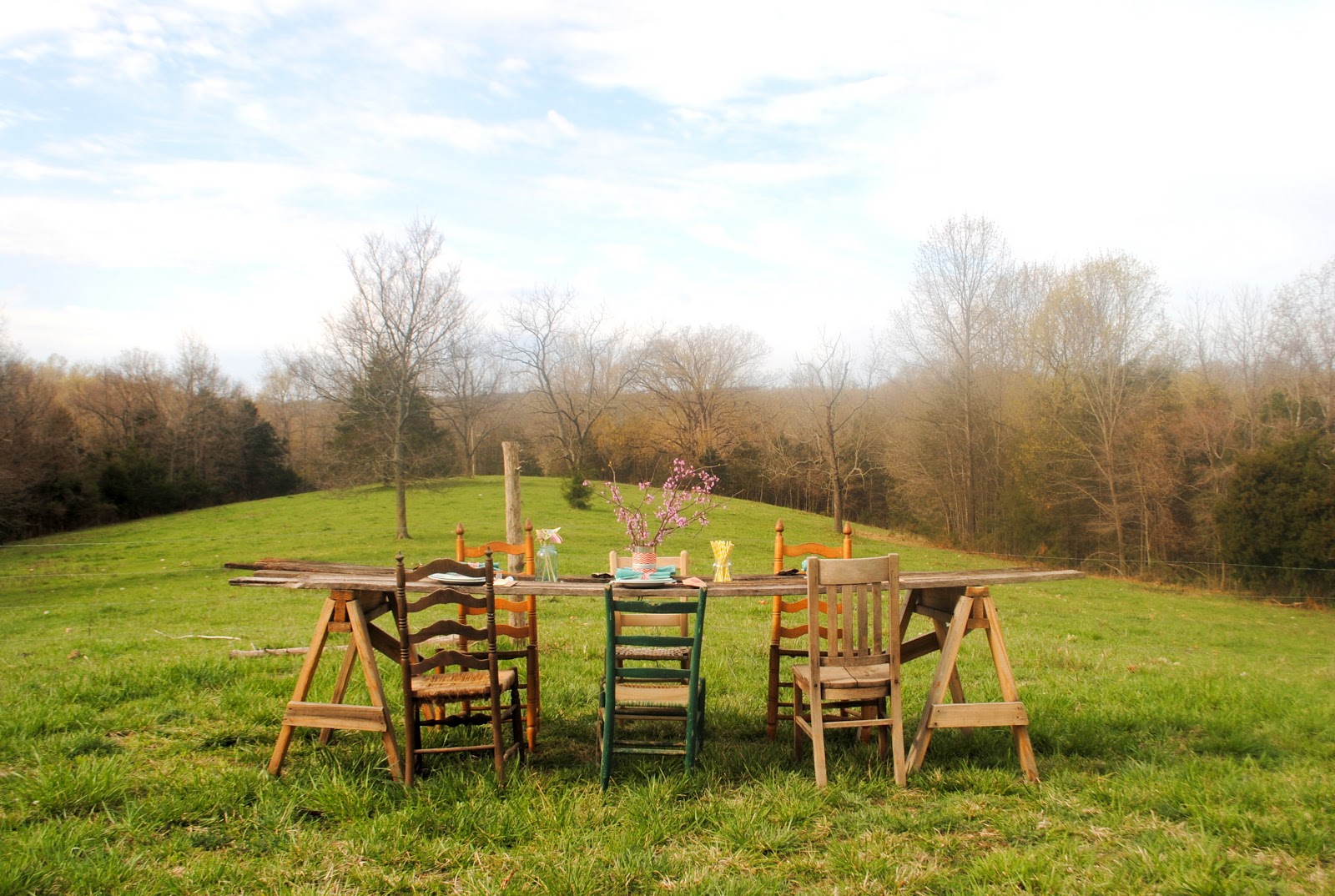 ThriceTheSpice DIY Backyard Brunch