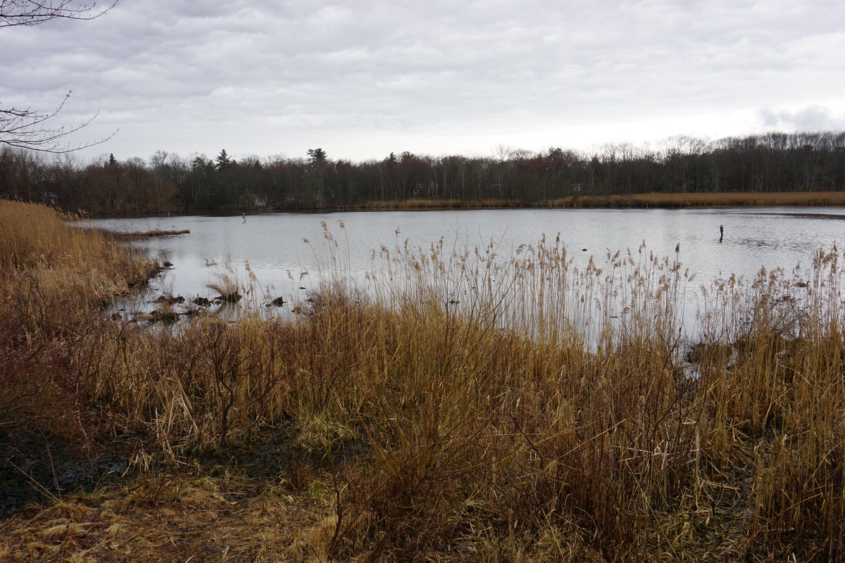 Harriman Hiker Harriman State Park and Beyond Celery Farm Loop