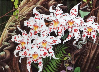 flores-orquideas