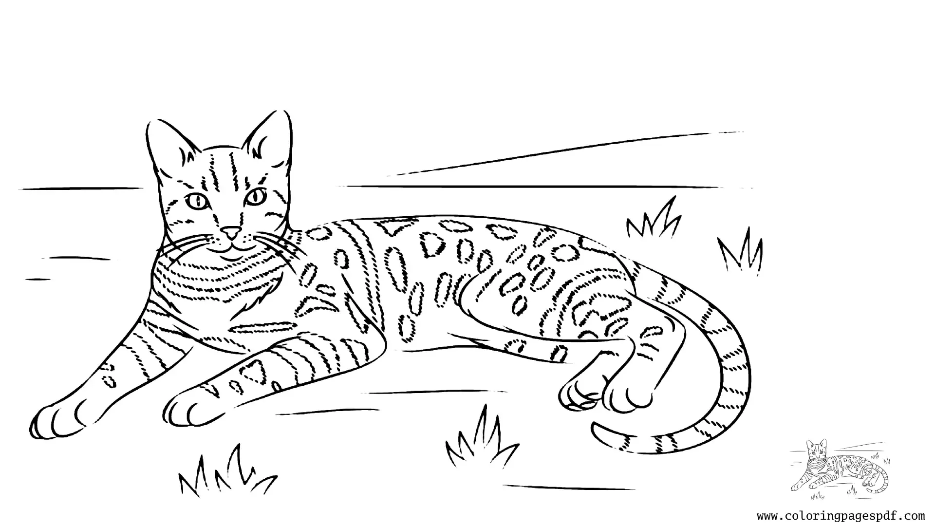 Coloring Page Of A Tiger-like Cat