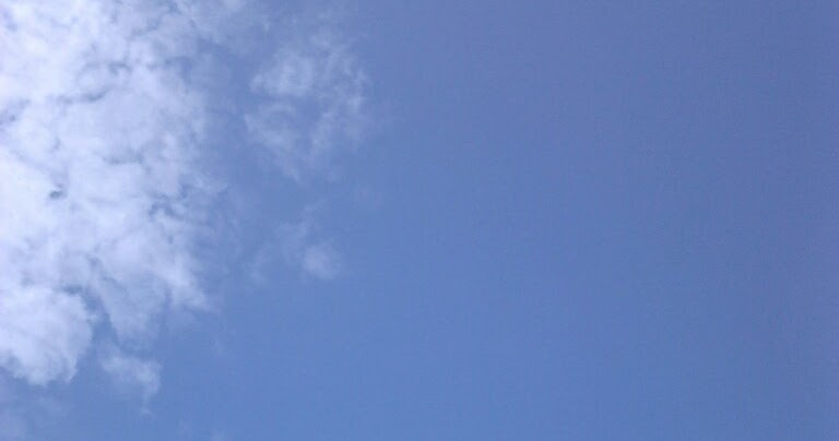 Was Vom Tage Ubrig Bleibt 2013