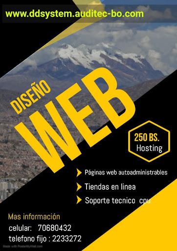 PAGINAS WEB BOLIVIA