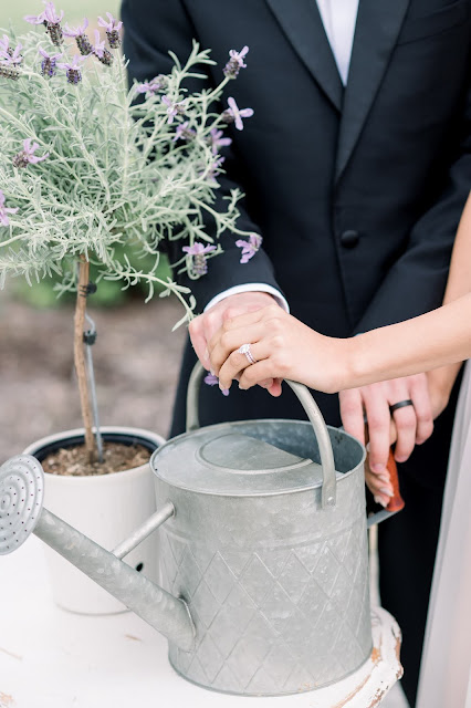 Bridgerton Inspired Whimsical Spring Wedding at Blue Bell Farms | St. Louis Fine Art Wedding Photo & Video