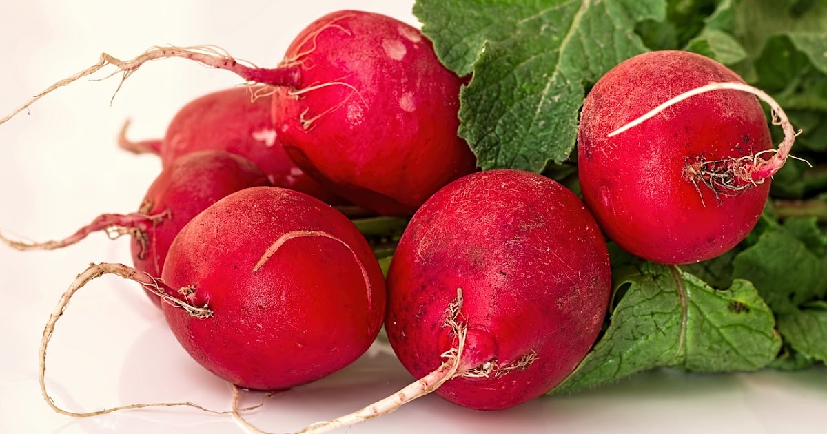 Islamic Dream Meanings and Interpretations I saw Radish in my Dream