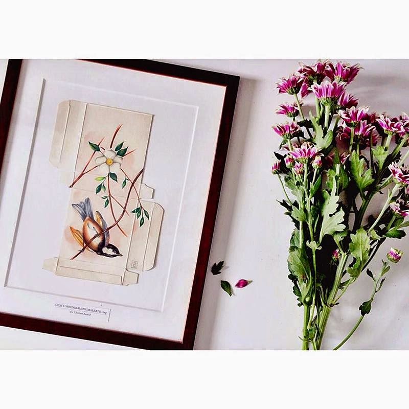 Birds Painting on Unfolded Medicine Boxes