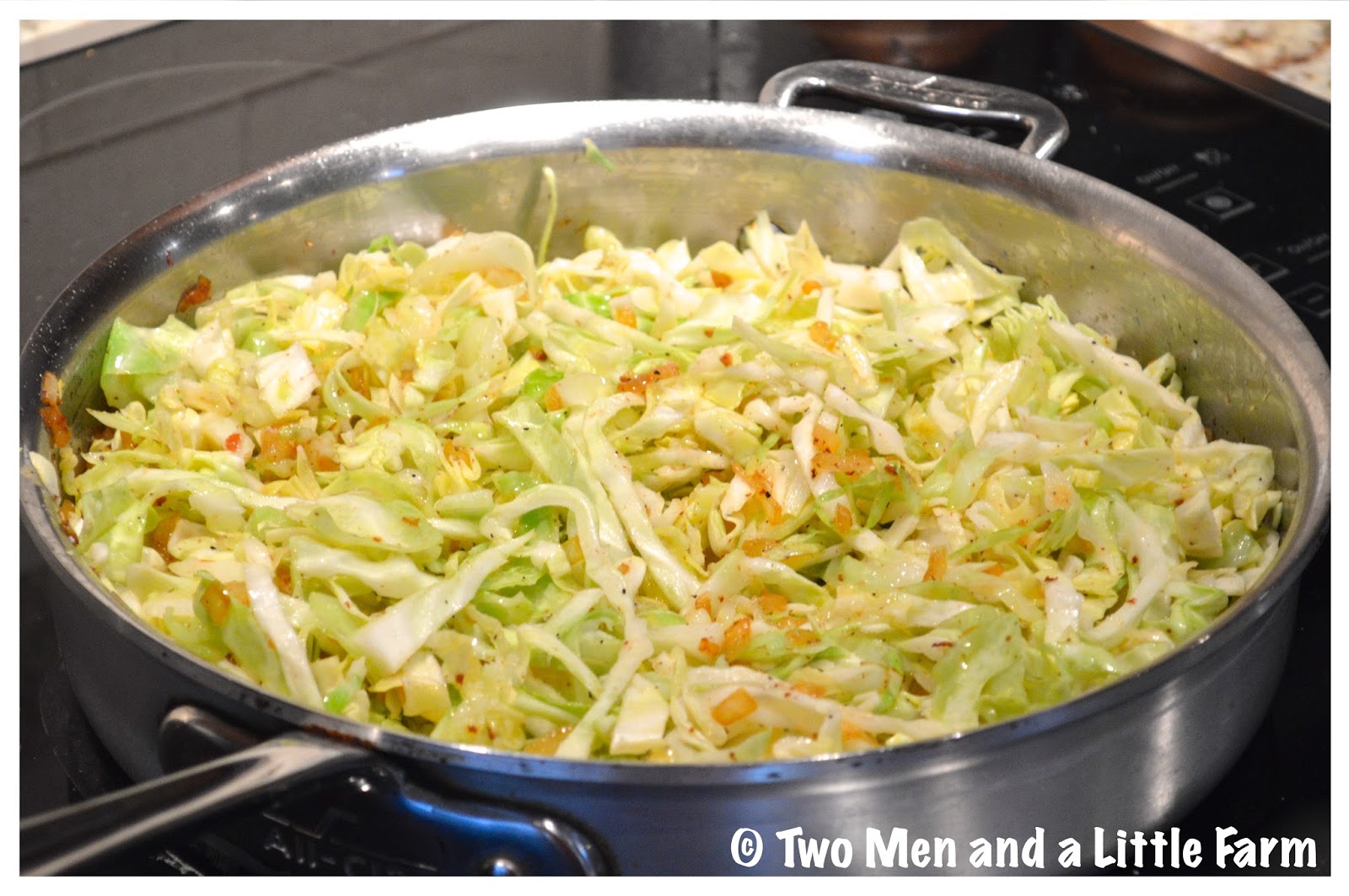 Two Men and a Little Farm: CABBAGE WITH BACON AND ONION RECIPE