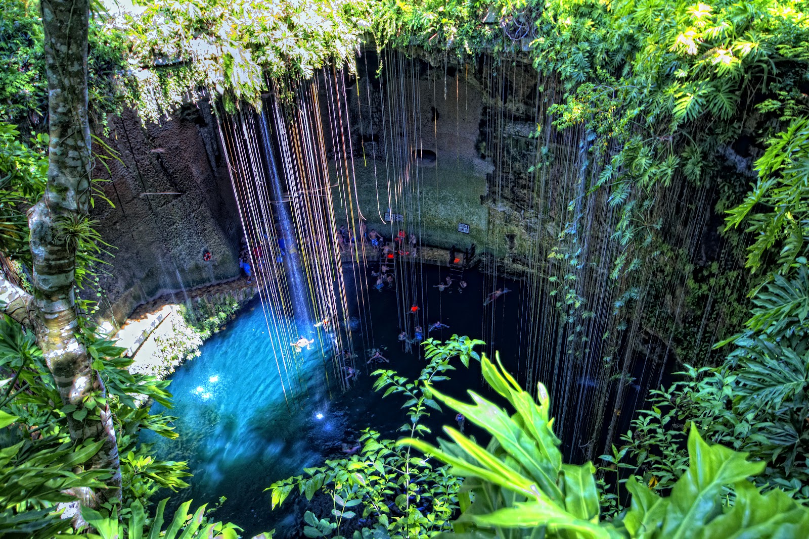 Мексика синоды