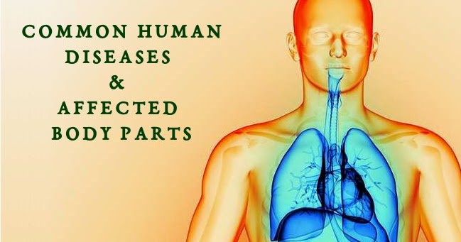 Common Human Disease & Affected Body Parts | PSC Arivukal