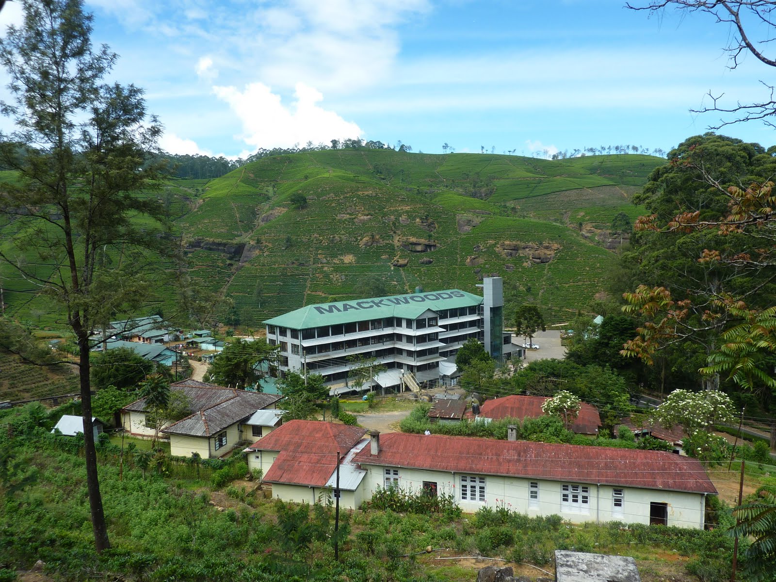 19 Days in Sri Lanka - 2011: Day 12 - Nuwara Eliya, Labookelie Tea ...