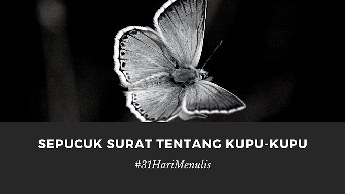 Sepucuk Surat Tentang Kupu-Kupu