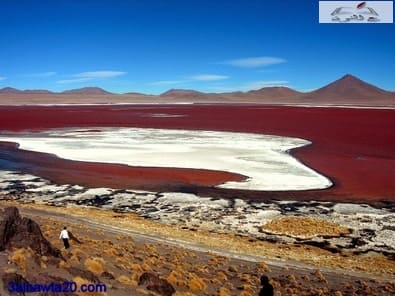 بحيرة اللاجون الأحمر بوليفيا- laguna colorada -أمريكا الجنوبية