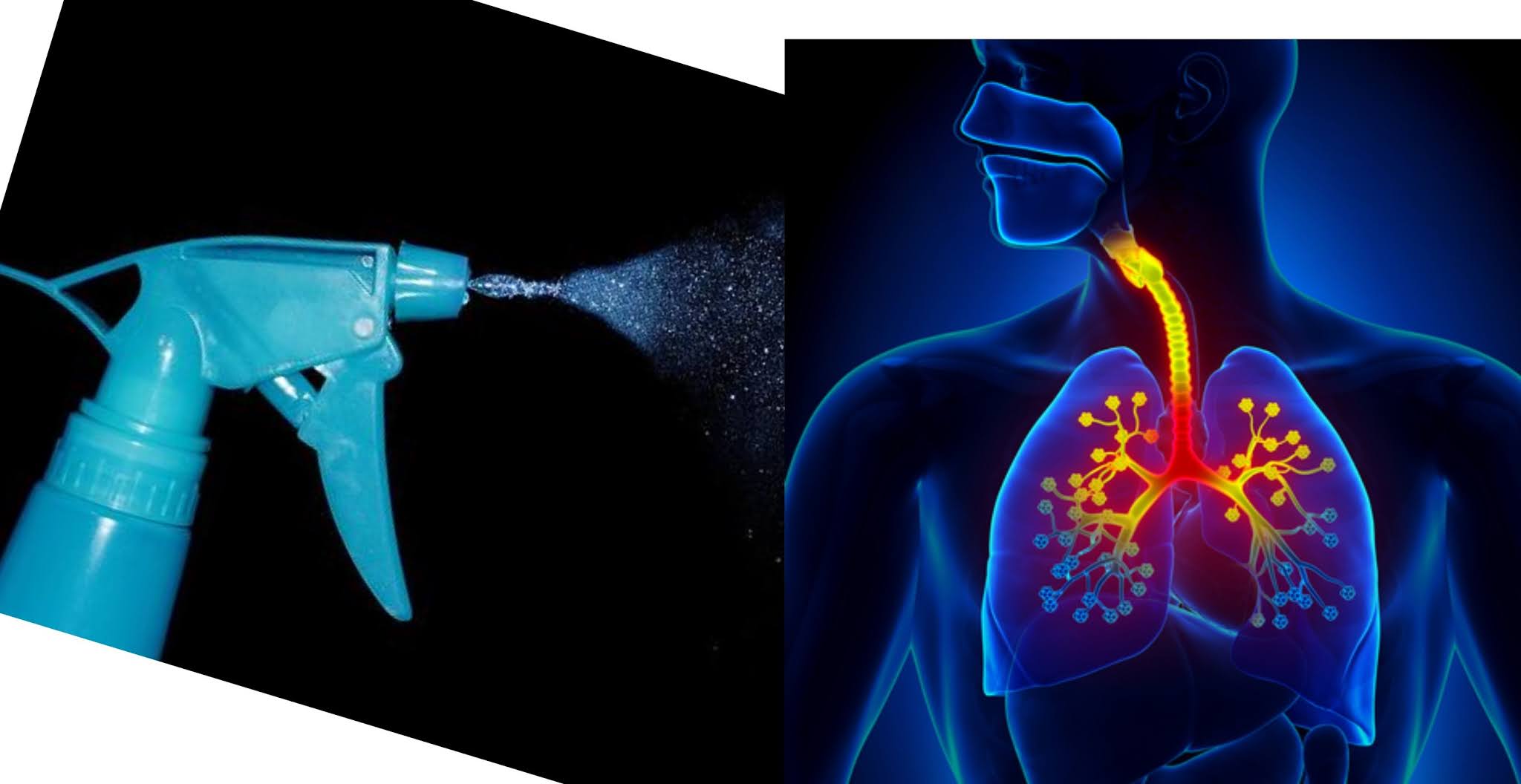 Creating A Healthier You Studies Show House Cleaning Products Lead to