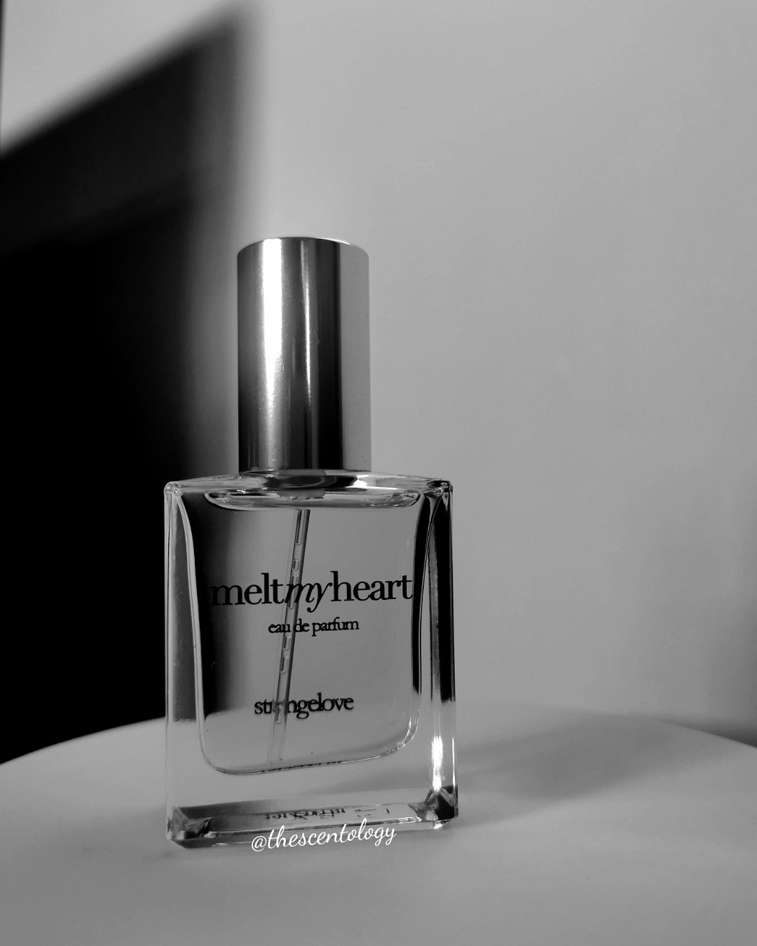 Melt my Heart by Strangelove NY