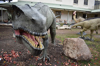 National Dinosaur Museum in Nicholls