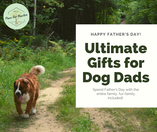 Happy Father's Day Pawdre: 5 Best gifts for Dads who love their dogs