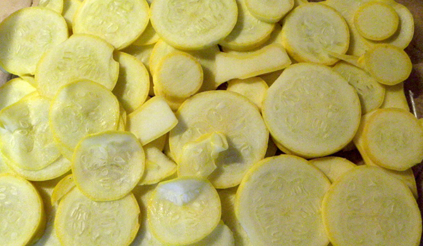 Layer of yellow squash with odd slices