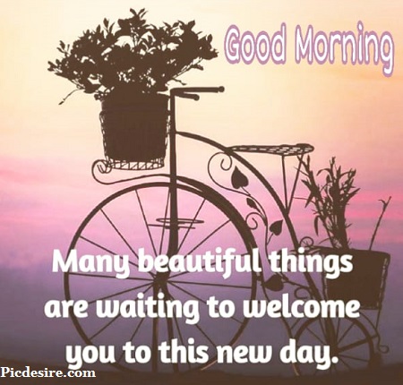50 Beautiful Good Morning Quotes and Saying 50 Beautiful Good Morning Quotes and Saying