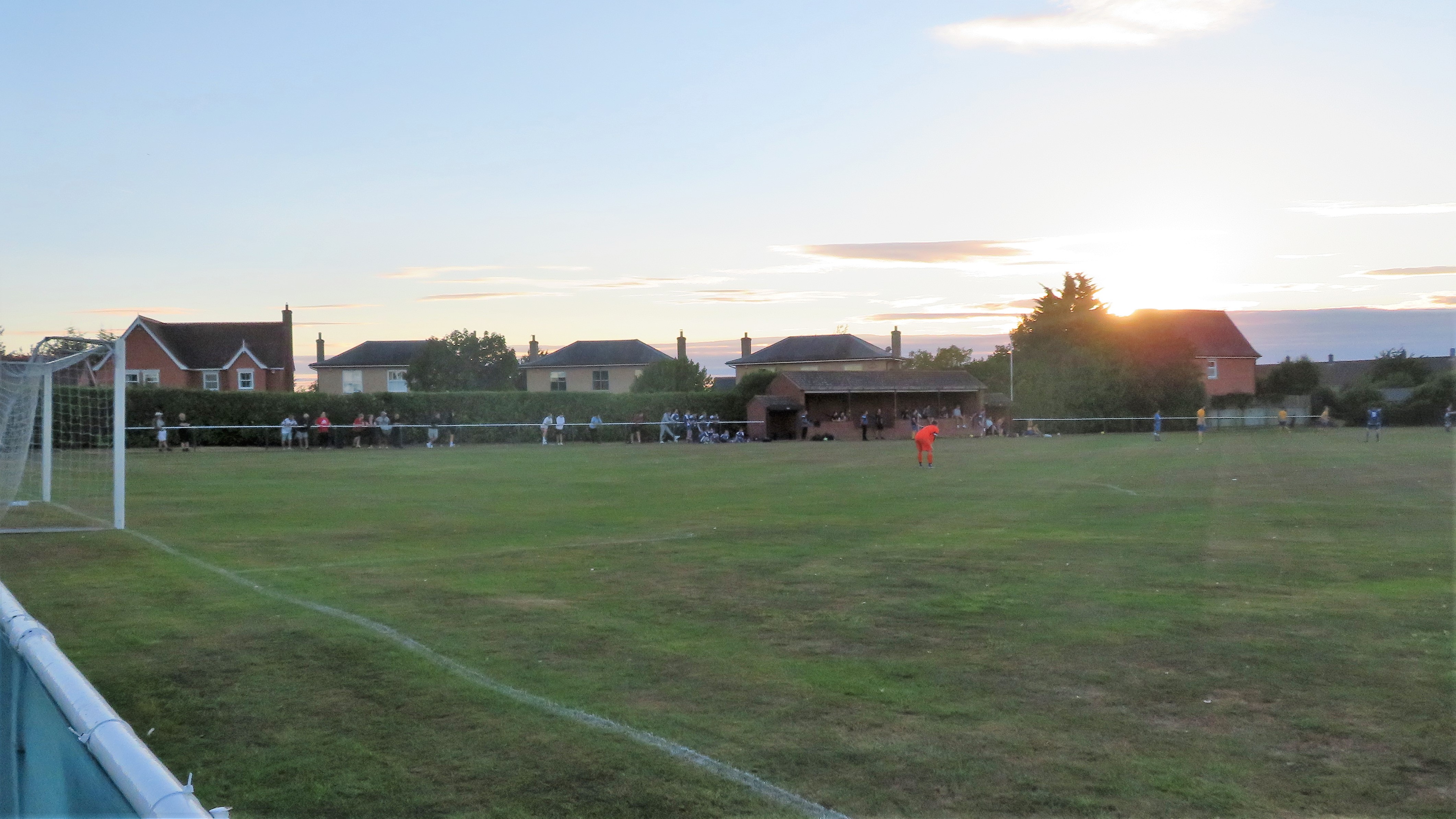 The Wanderer Earls Colne Green Farm Meadow