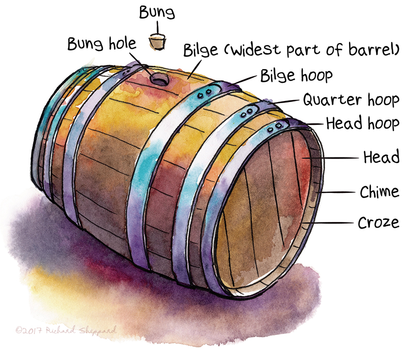 Discovering the Essence of Oak in Wine Making Urban Sketchers