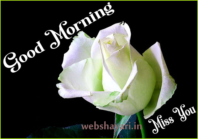 good morning images with rose flowers 