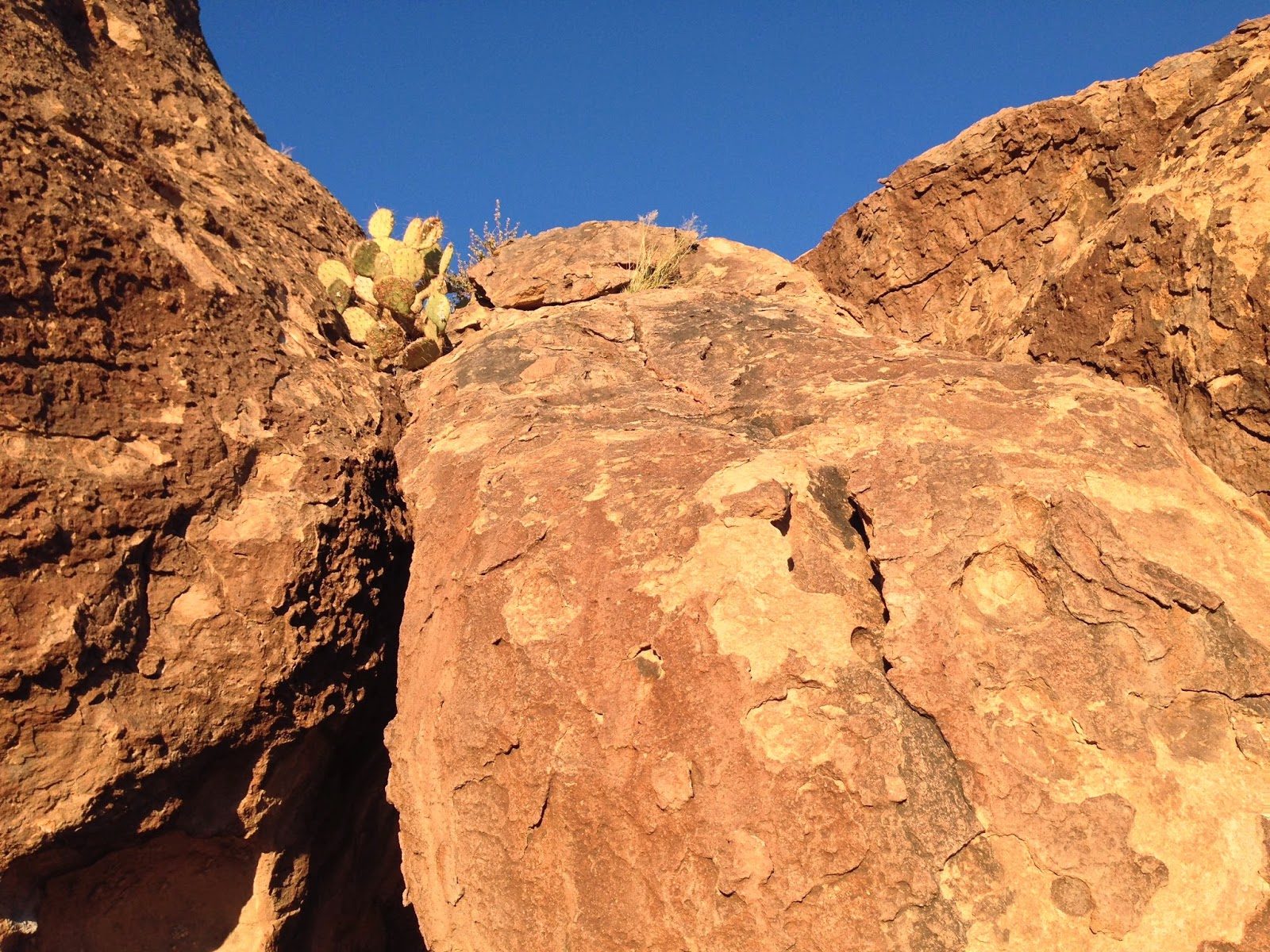 LivelyRV Hueco Tanks State Park