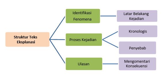 Materi Struktur Teks Eksplanasi Mapel Bahasa Indonesia Kelas 11 Sma Ma Bospedia