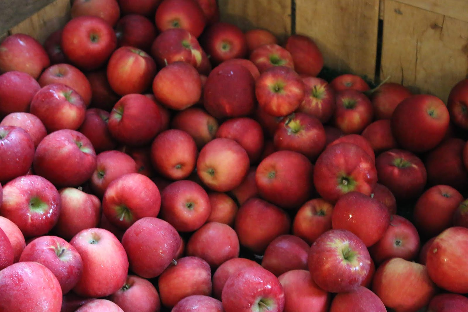 Brown's Orchard and Cider, McDonald, Washington County Interesting Pennsylvania and Beyond