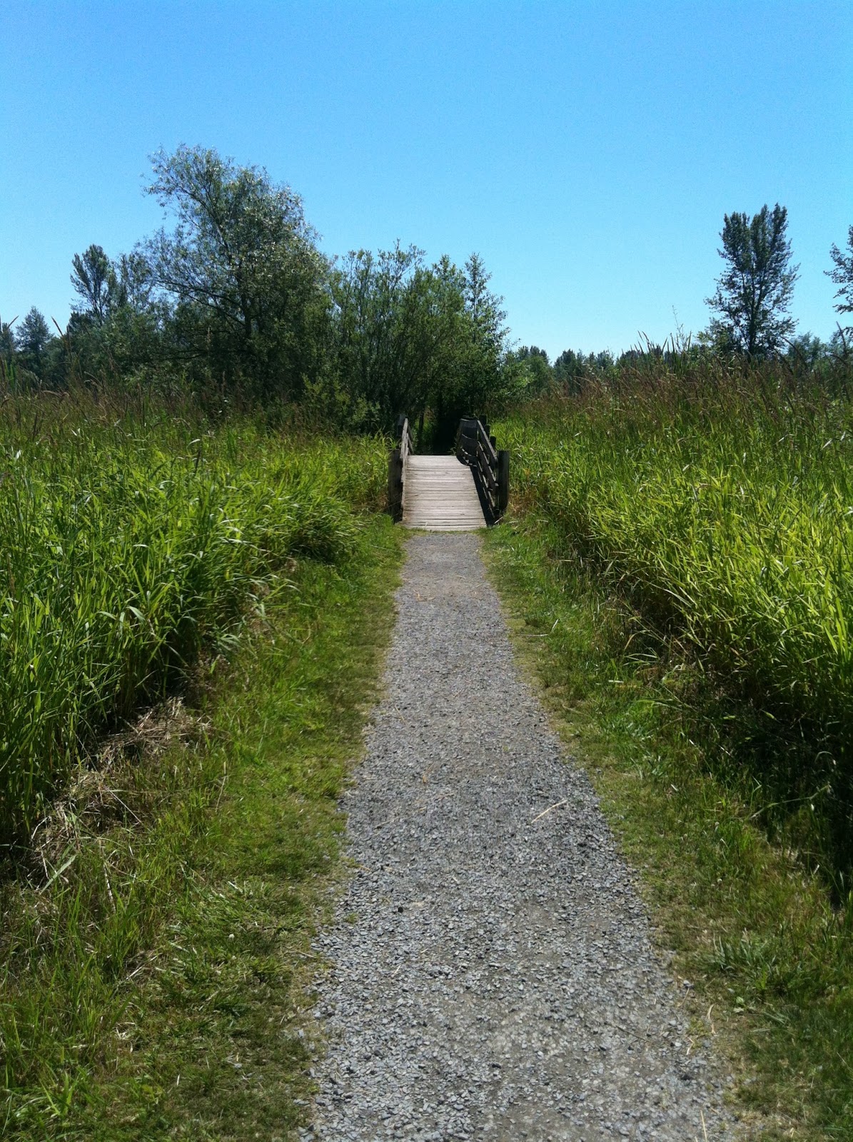 Hears Different Drummer Tennant Lake's water trail