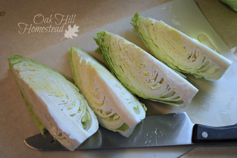 Freezing and Dehydrating Cabbage Oak Hill Homestead