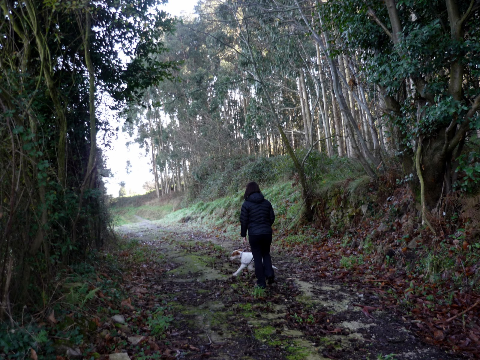 Camudando'l camín El Valle (Carreño) Monte Areo