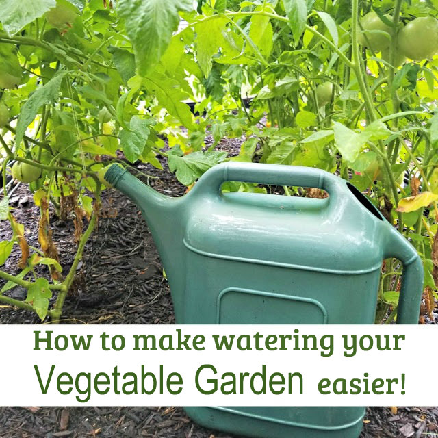How to Make Watering Your Vegetable Garden Easier Oak Hill Homestead