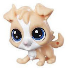 Littlest Pet Shop Tubes Tanner Muttley (#89) Pet