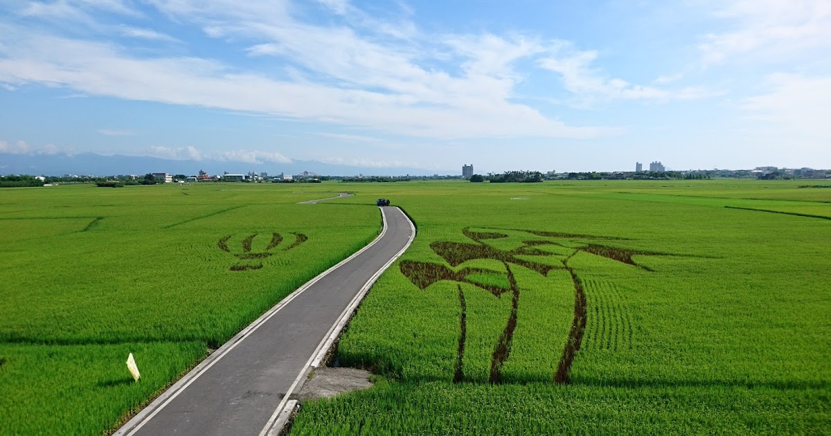 [遊記] 冬山。三奇稻間美徑迷人的綠！