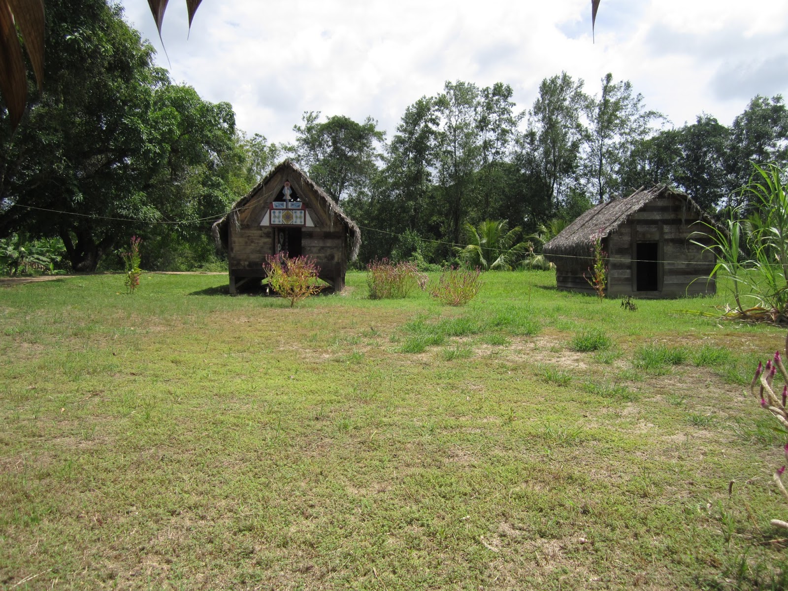 Stage Suriname Nieuw Amsterdam