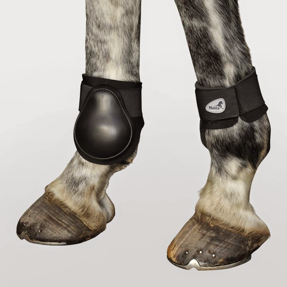 Horse Life and Love: All about .... Boots for horses.