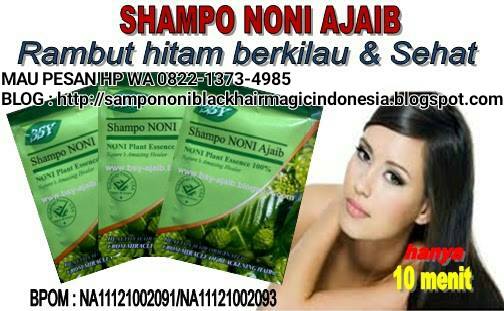 SAMPO NONI MENGHITAMKAN RAMBUT SEPERTI ASLI