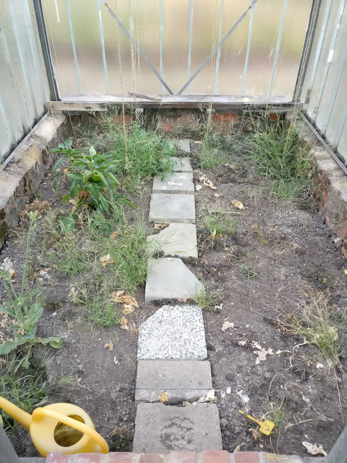 Garten Haus Und Gartenhaus 2018