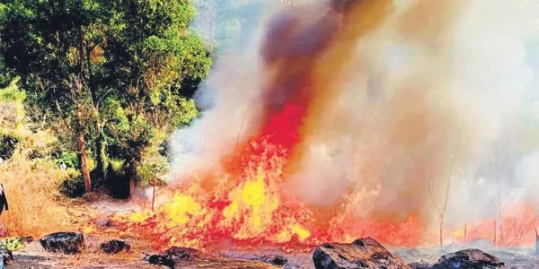  Thrissur, News, Kerala, Accident, Death, Hospital, Fire, Medical College, Injured, forest officials, Three forest officials die in Kerala wildfire