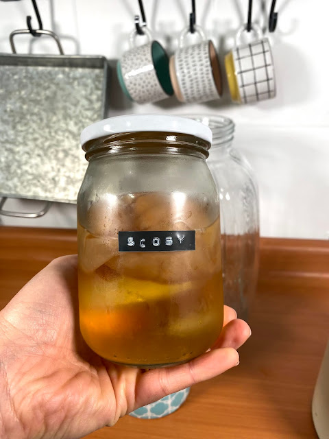 kombucha hecha en casa
